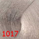 селектив колор эво 1017 Суперосветляющая северная Selective Colorevo 1017 Суперосветляющая северная